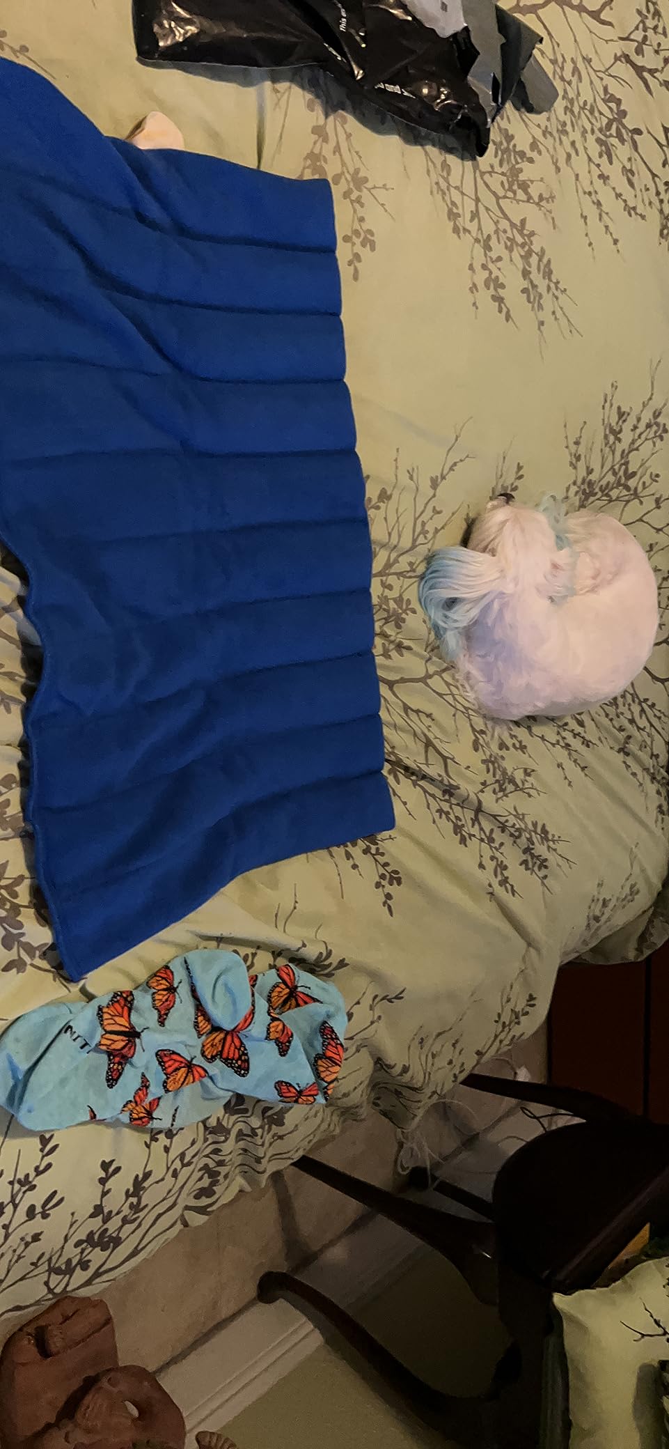 XL Microwavable Heating Pad with Cover Releases Moist Heat for Back Pain customer photo 2