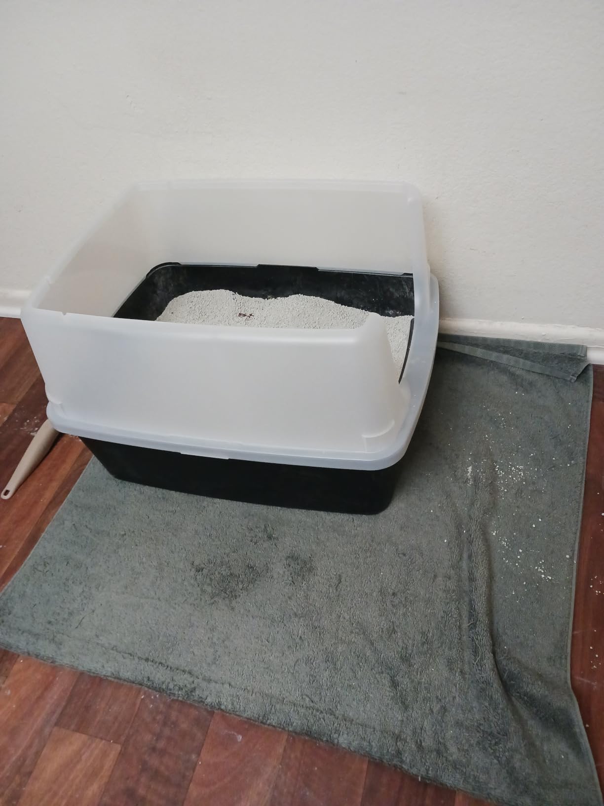 IRIS USA Large High Sided Cat Litter Box, Scatter Shield customer photo 2