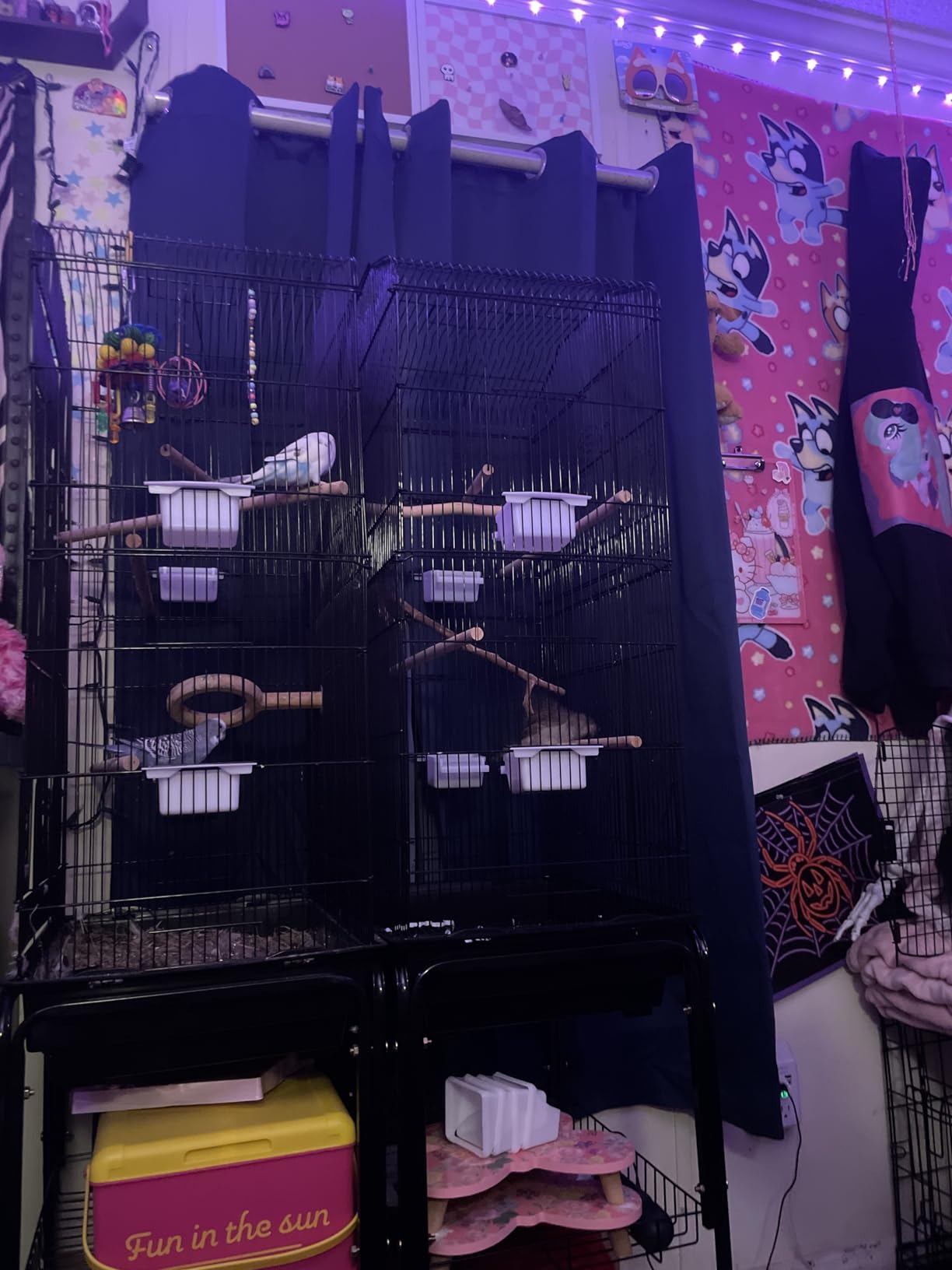 SUPER DEAL 59.3 Rolling Bird Cage Large Wrought Iron Cage for Cockatiel Sun Conure Parakeet Finch Budgie Lovebird Canary Medium Pet House with Rolling Stand & Storage Shelf customer photo 1