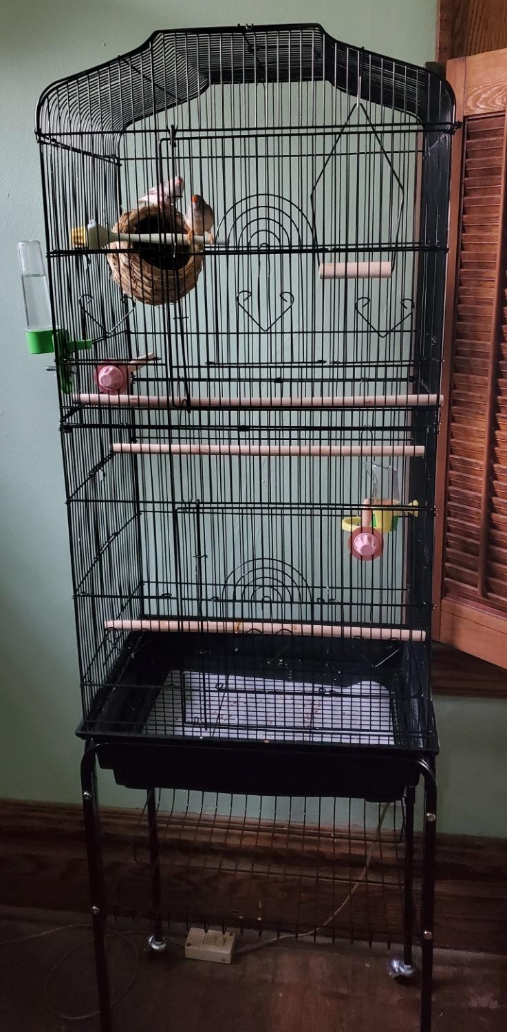 SUPER DEAL 59.3 Rolling Bird Cage Large Wrought Iron Cage for Cockatiel Sun Conure Parakeet Finch Budgie Lovebird Canary Medium Pet House with Rolling Stand & Storage Shelf customer photo 2