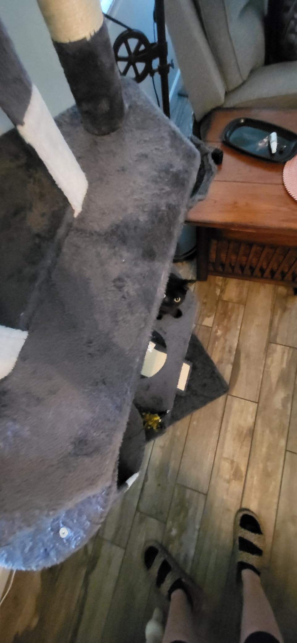 Yaheetech 79in Multi-Level Cat Tree for Multiple Cats with 9 sisal Posts customer photo 1