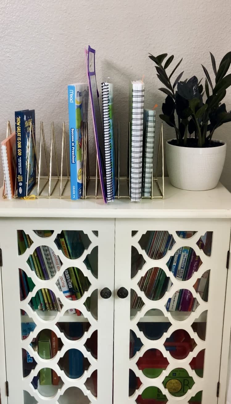 Urban Deco Triangle Desk Organizers Metal Wire Magazine Holder 7 Sections Decorative File Folder Organizer Vinyl Record Storage Office For Desk - Gold Magazine File Holder - Pack of 2 customer photo 2