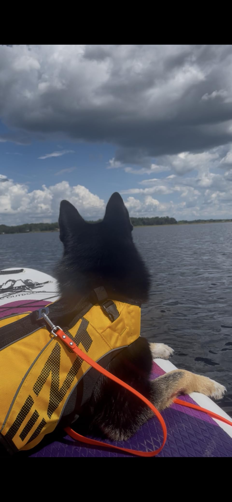EzyDog DFD X2 Dog Life Jacket, Grab Handle, Reflective Trim - Small, Red customer photo 1