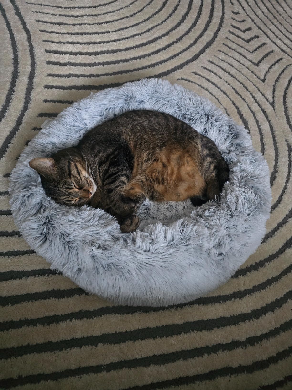 Love's cabin Calming Dog & Cat Bed, Cat Bed for Indoor Cats, Anti-Anxiety Donut Round Bed, Fluffy Warming Pet Bed for Small Medium Dogs and Cats, Beige Taupe 20