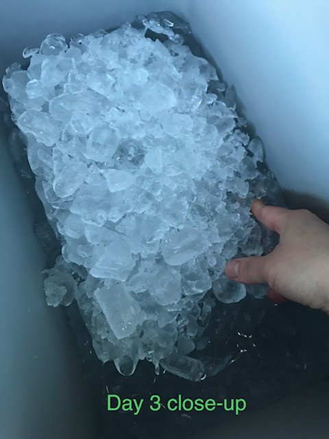 Igloo BMX Cooler | Insulated Hard Shell Ice Chest customer photo 1