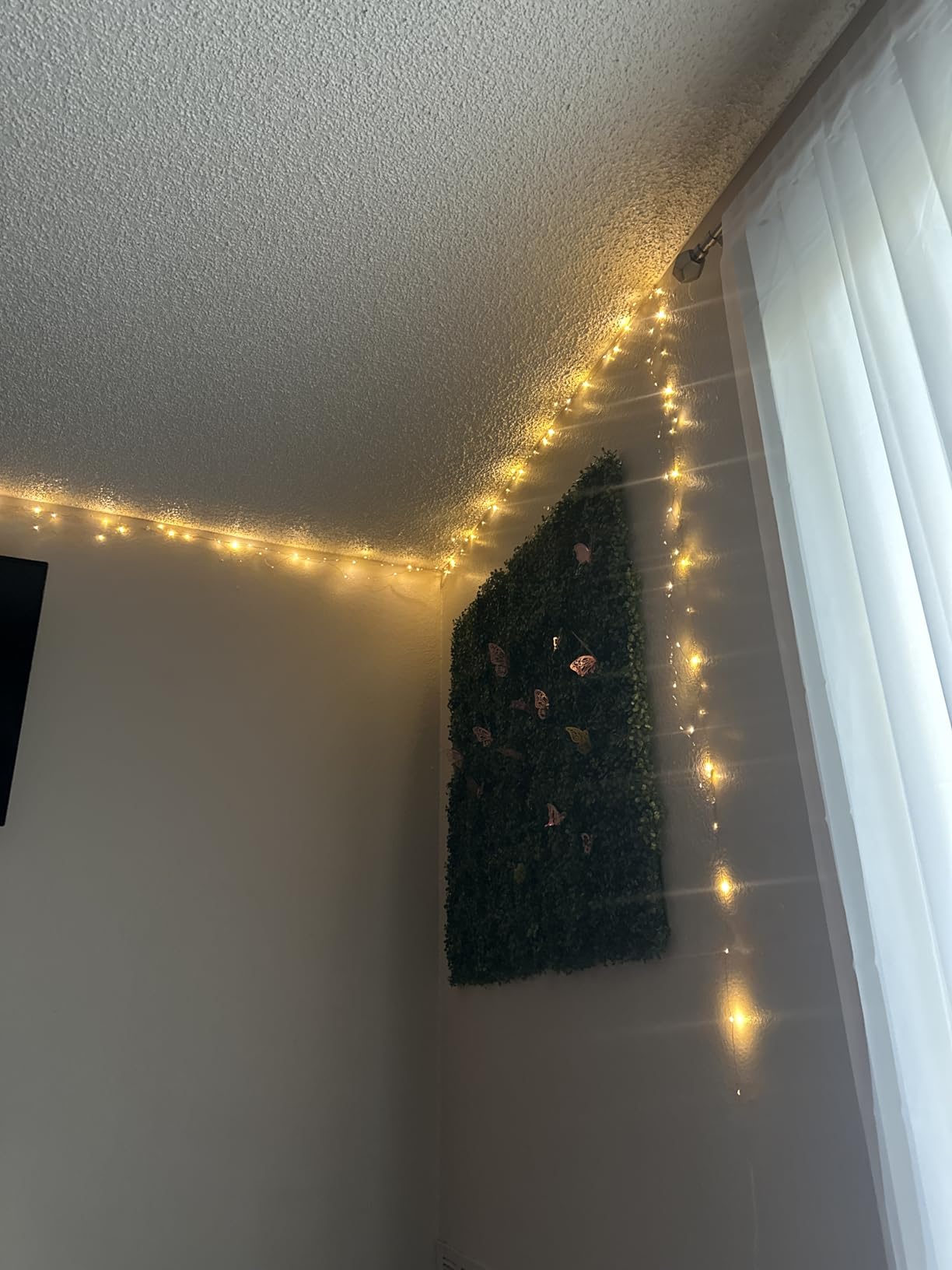 66FT 200 LED Fairy Lights Plug in, 8 Modes Twinkle Lights Warm White customer photo 2