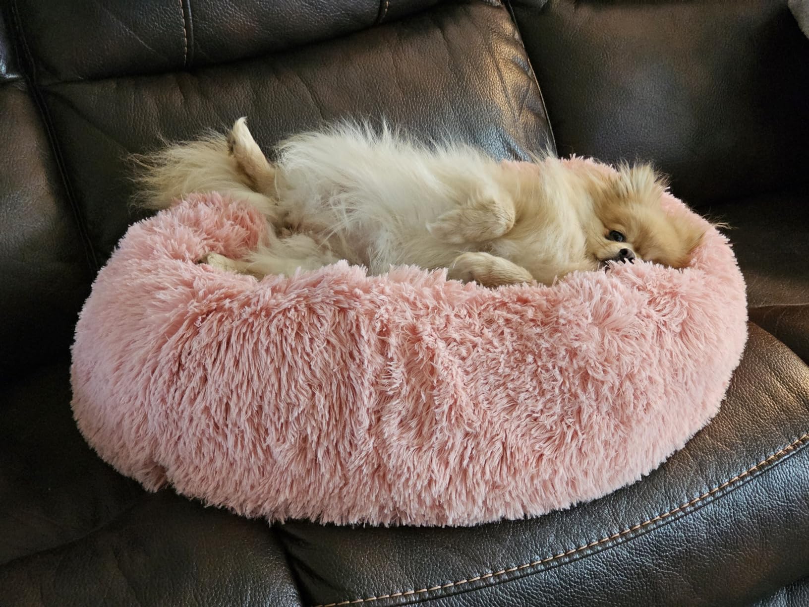 MIXJOY Orthopedic Dog Bed Comfortable Donut Cuddler Round Pet Beds Ultra Soft Washable Dog and Cat Cushion Bed (20''/23''/30'') (30'', Brown) customer photo 2