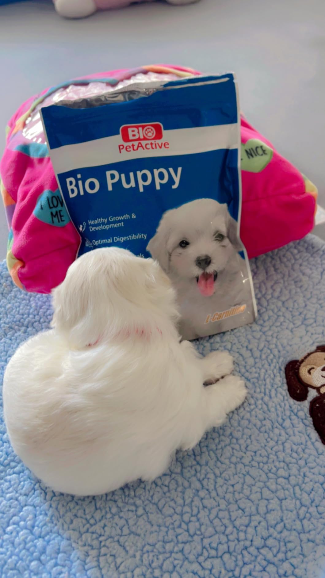 Blue Buffalo Baby BLUE Chicken Small Breed Puppy Natural Dry Dog Food, 4 lb customer photo 1