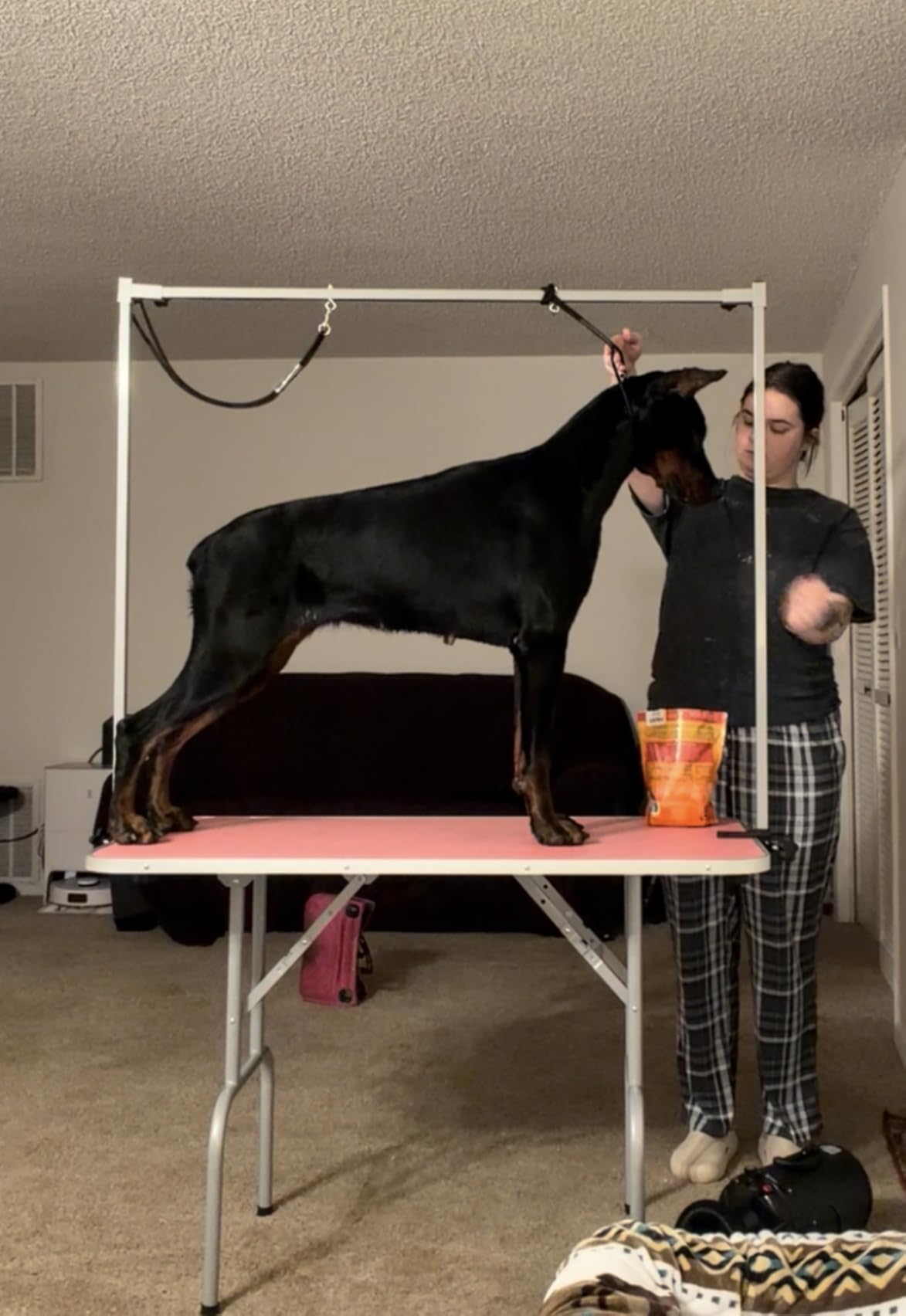 Yaheetech 46'' Dog Grooming Table for Large Medium Dogs at Home, Black customer photo 2