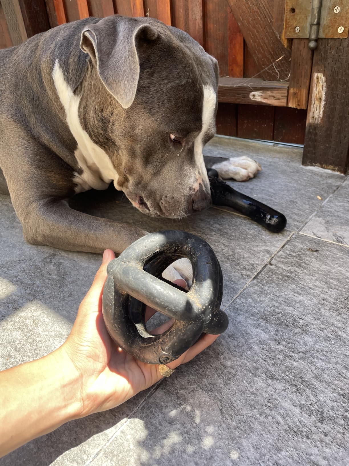 Monster K9 Ring Ball | Virtually Indestructible. Lifetime Guaranteed. | VULCRON™ Natural Rubber | Durable, Heavy Duty Dog Chew Toy for Aggressive Chewers | Medium & Large Breeds, 5.5” customer photo 1