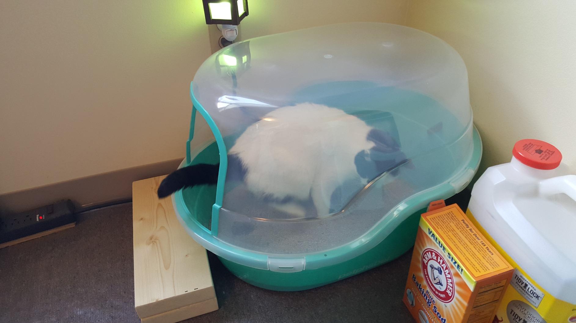 Petphabet Jumbo Hooded Cat Litter Box, Extra Large Gray customer photo 1