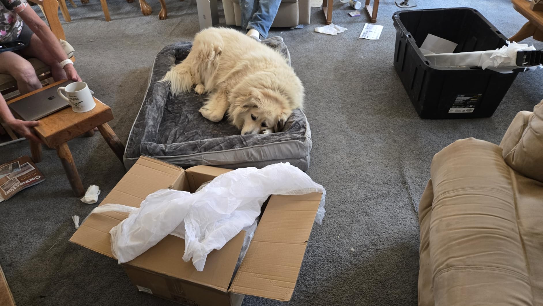 Bedsure Orthopedic Dog Bed Medium Washable Original Design, 28