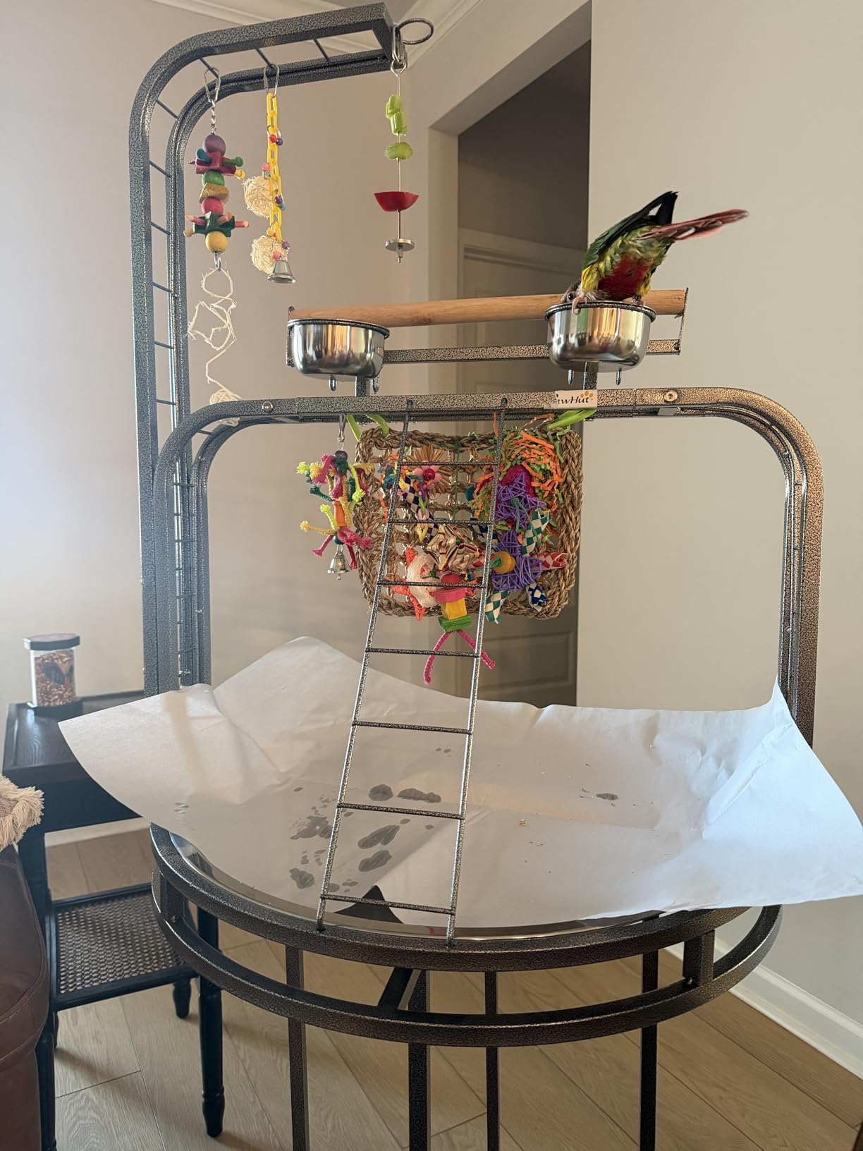 PawHut Parrot Stand Large Bird Perch Stand with Toy Hook & 3 Ladders, Parrot Perch with Easy Grip, Bird Wooden Stand, Gray customer photo 2