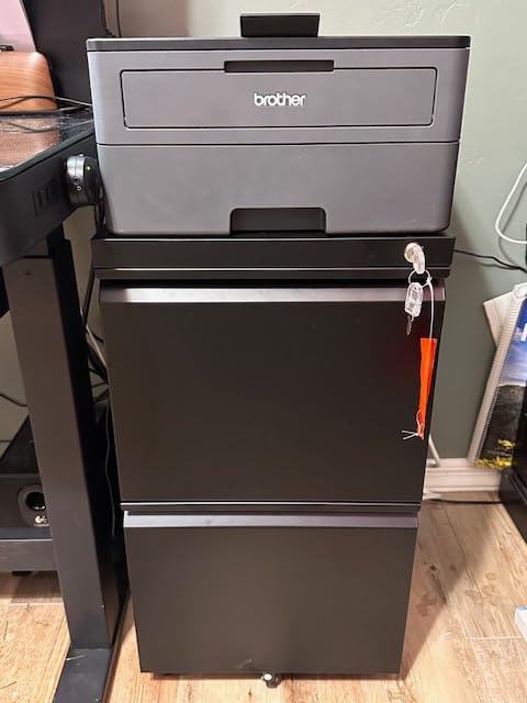 DEVAISE 2 Drawer Metal File Cabinet, Fully Assembled Filing Cabinet customer photo 2