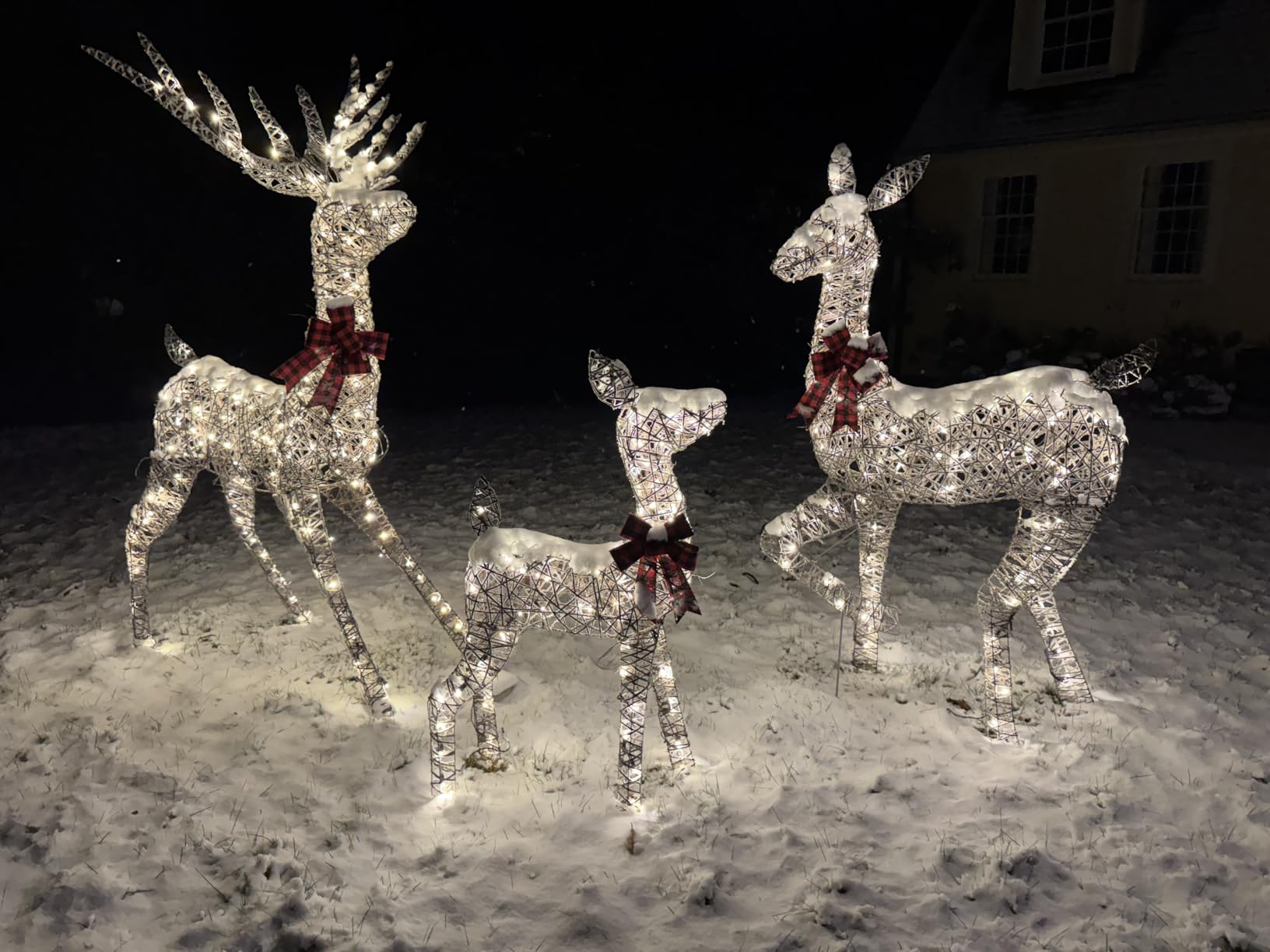 Best Choice Products 3-Piece Large Lighted Christmas Deer Family Set 5Ft Outdoor Yard Decoration with 360 LED Lights, Stakes, Zip Ties - Gold customer photo 2