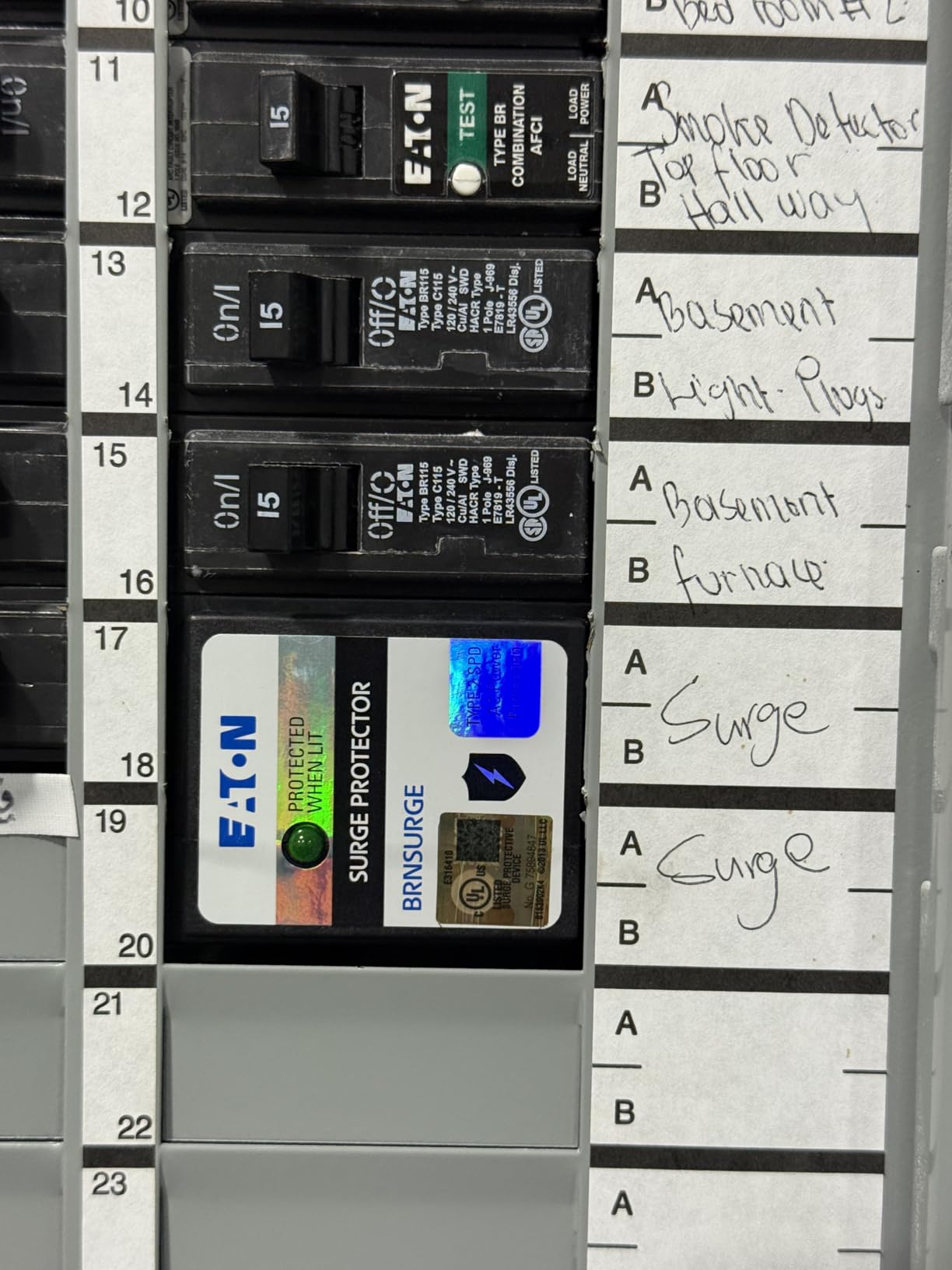 Type BR Circuit Breaker Surge Protective Device, Two Pole, Surge Protective Device customer photo 1