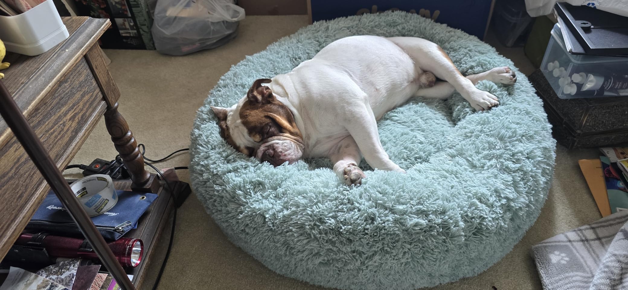 Bedsure Calming Dog Beds Large Sized Dog Donut Washable Pet Bed,36ins Camel customer photo 1