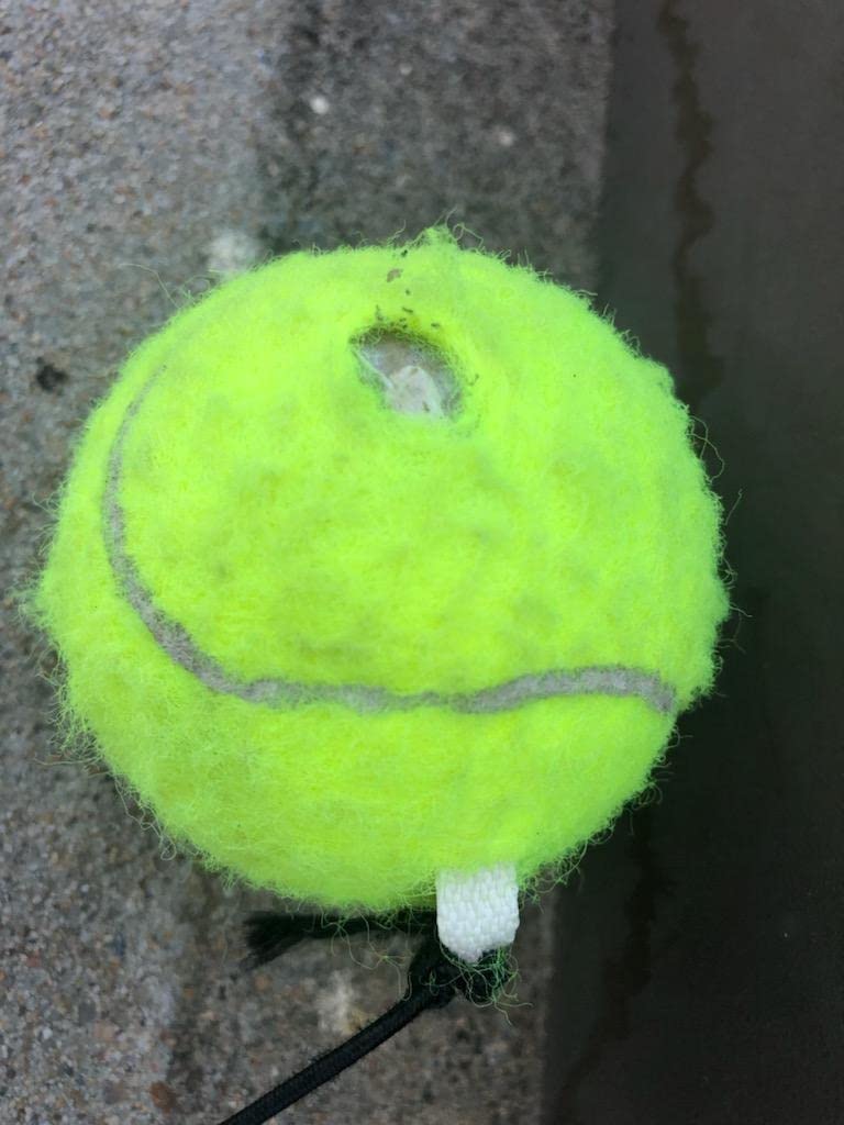 Tennis Rebound Ball & Trainer Kit with 4 Balls & 4 Elastic Ropes for Beginners, Kids & Adults customer photo 2