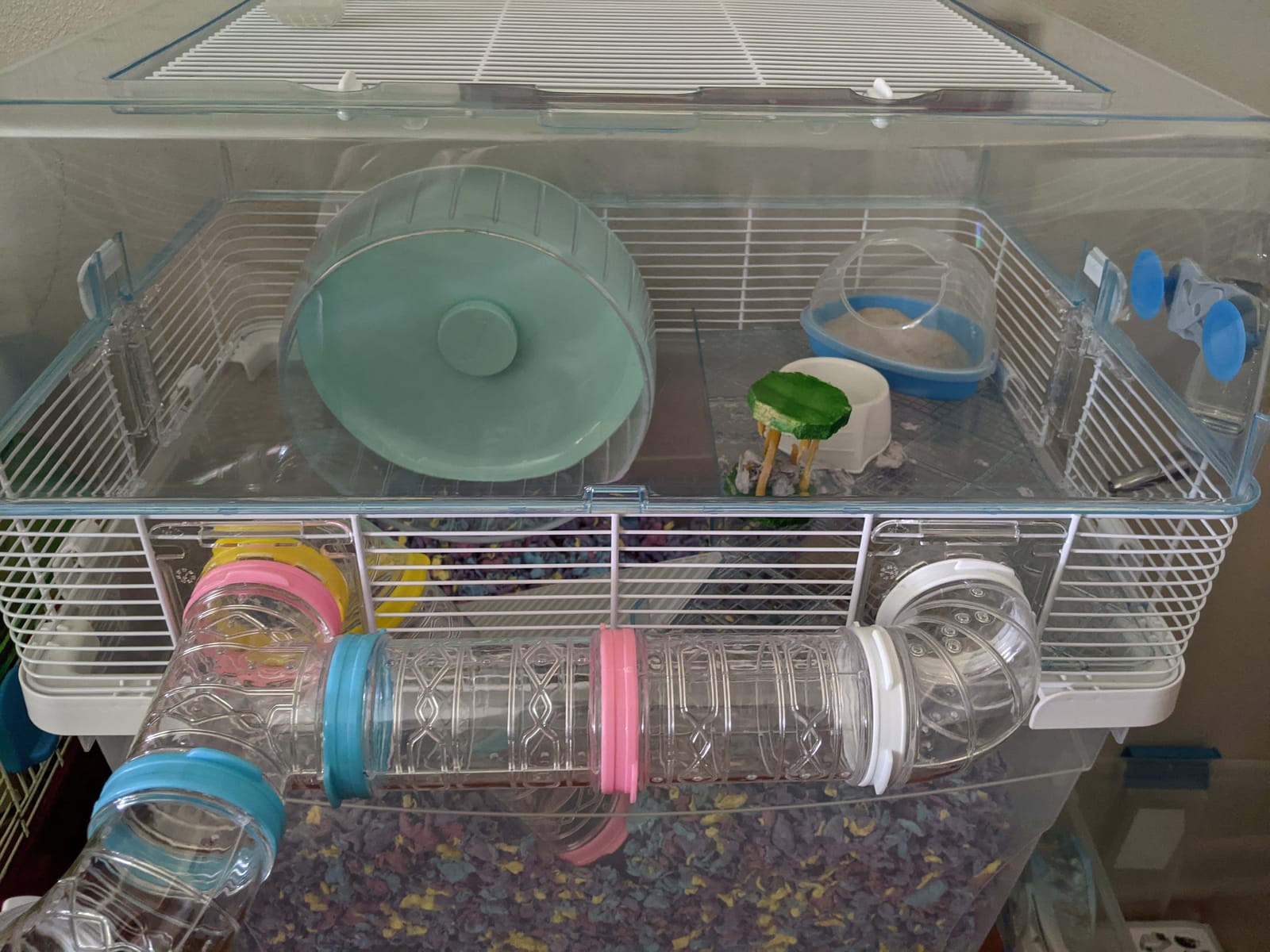Ferplast Duna Space Hamster Cage, Extra-Deep 11.5-Inch Base Promotes Instinctual Burrowing While Containing Litter & Debris, Includes All Accessories and Play Tunnels, 22.6L x 18.7W x 21.5 Inches customer photo 2