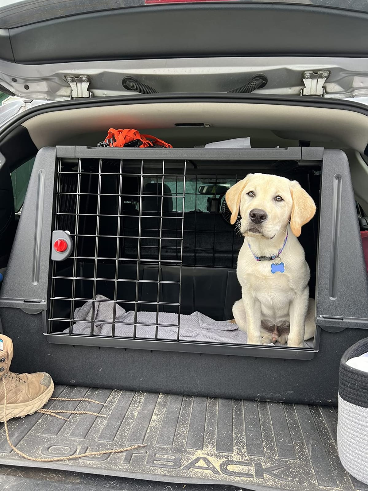 Ferplast Atlas Vehicle SUV Dog Crate, Assembled Car Dog Crate Measures 39L x 23W x 26H, Ideal for Medium to Intermediate Dog Breeds, Black customer photo 2