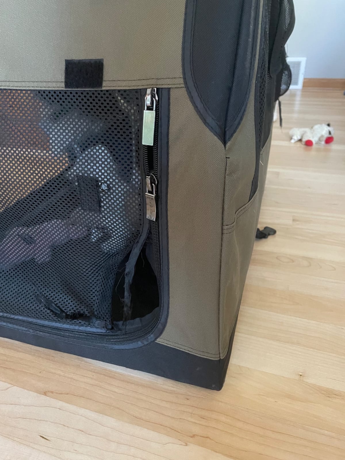 PETSFIT Dog Travel Crate, Collapsible Dog Crate- 30 Inch Sturdy Adjustable Structure, Easy to Set Up, Portable Soft Dog Kennel for Car, Light Tough with 3 Mesh Doors, Army Green customer photo 2