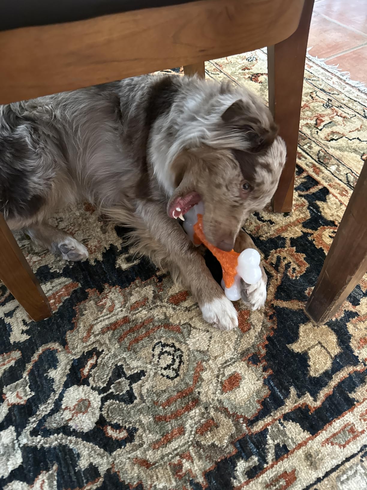 Kseroo Tough Dog Chew Toys for Aggressive Chewers 20-90lbs, Beef Flavored customer photo 2