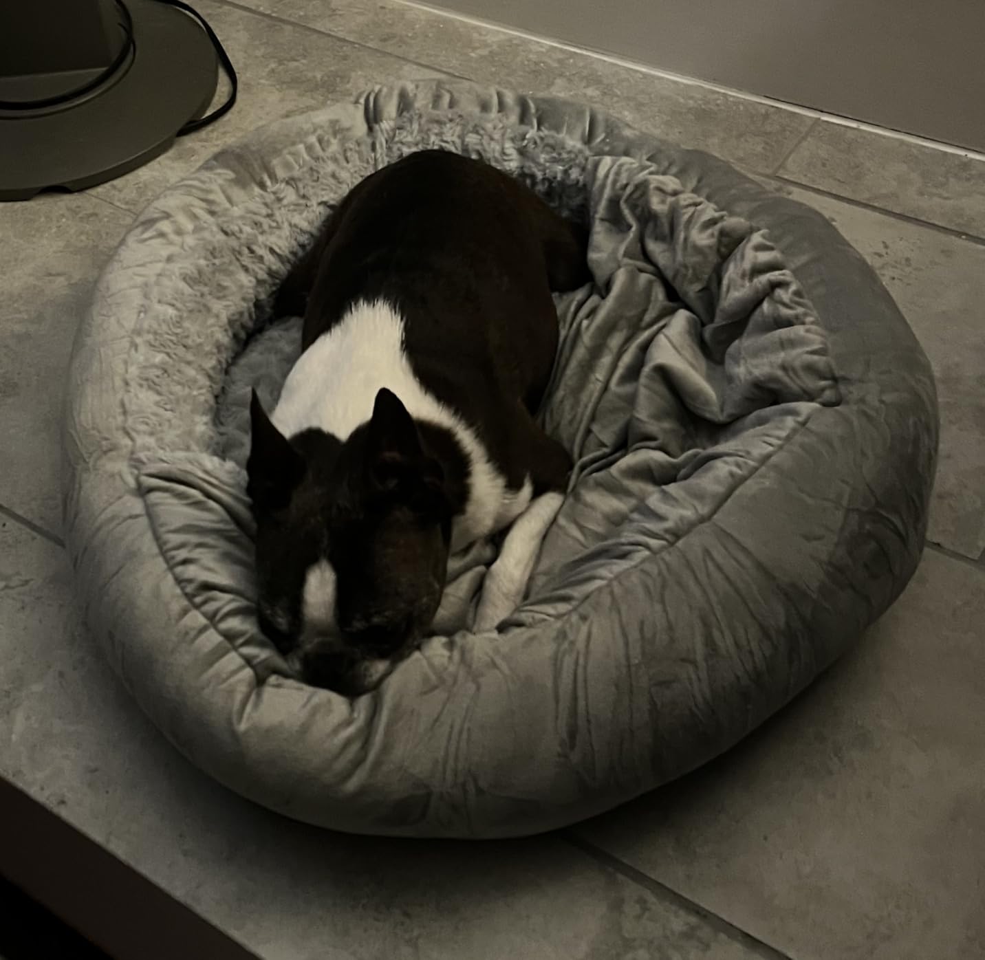 JOEJOY Small Dog Bed Cat Bed with Hooded Blanket, Cozy Cuddler Luxury Puppy Pet Bed, Donut Round Calming Anti-Anxiety Dog Burrow Cave Bed - Anti-Slip Bottom and Machine Washable 23 inch customer photo 2