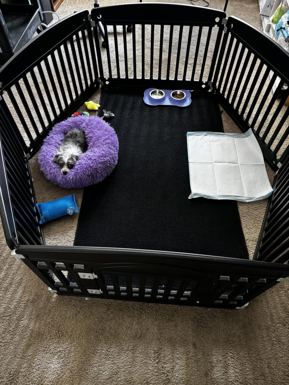 nononfish Calming Dog Bed for Small Dogs,Plush Donut Pet Bed customer photo 1