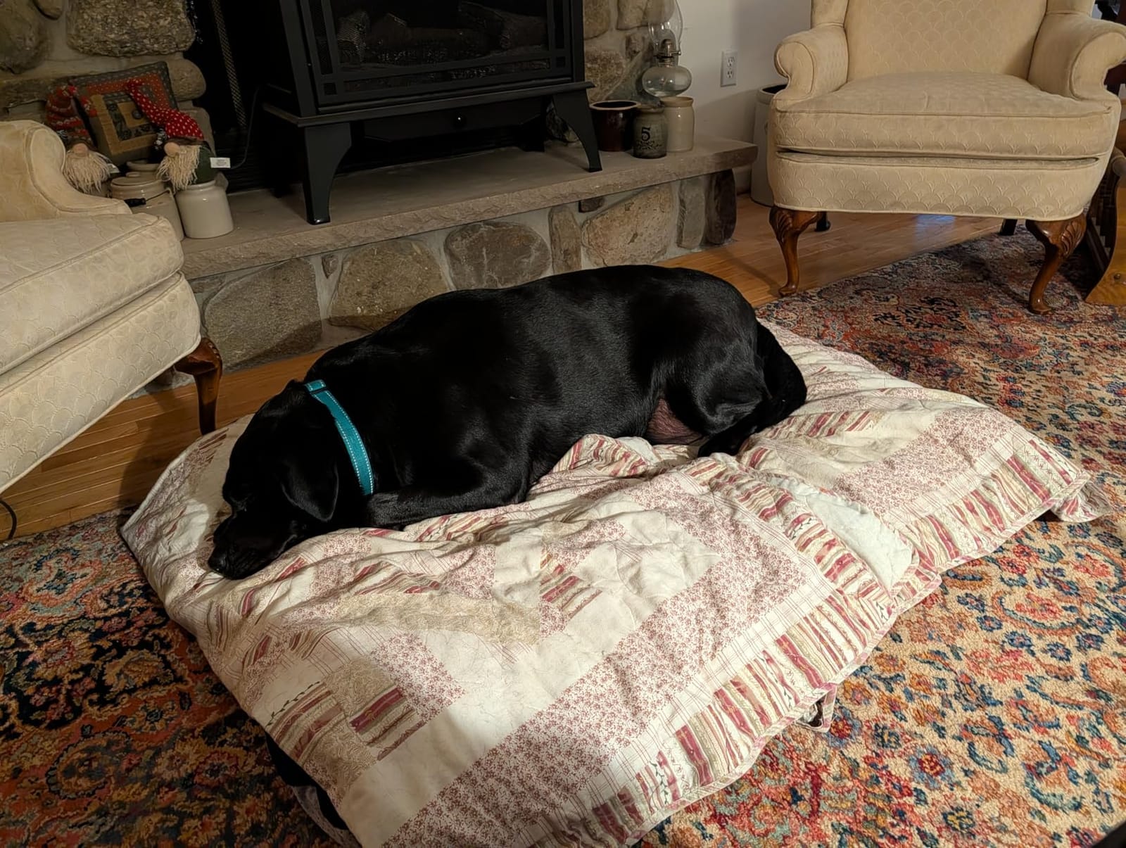 Magic Dog Orthopedic Extra Large Dog Bed 47 Inch, Super Soft XL Pet Bed customer photo 1