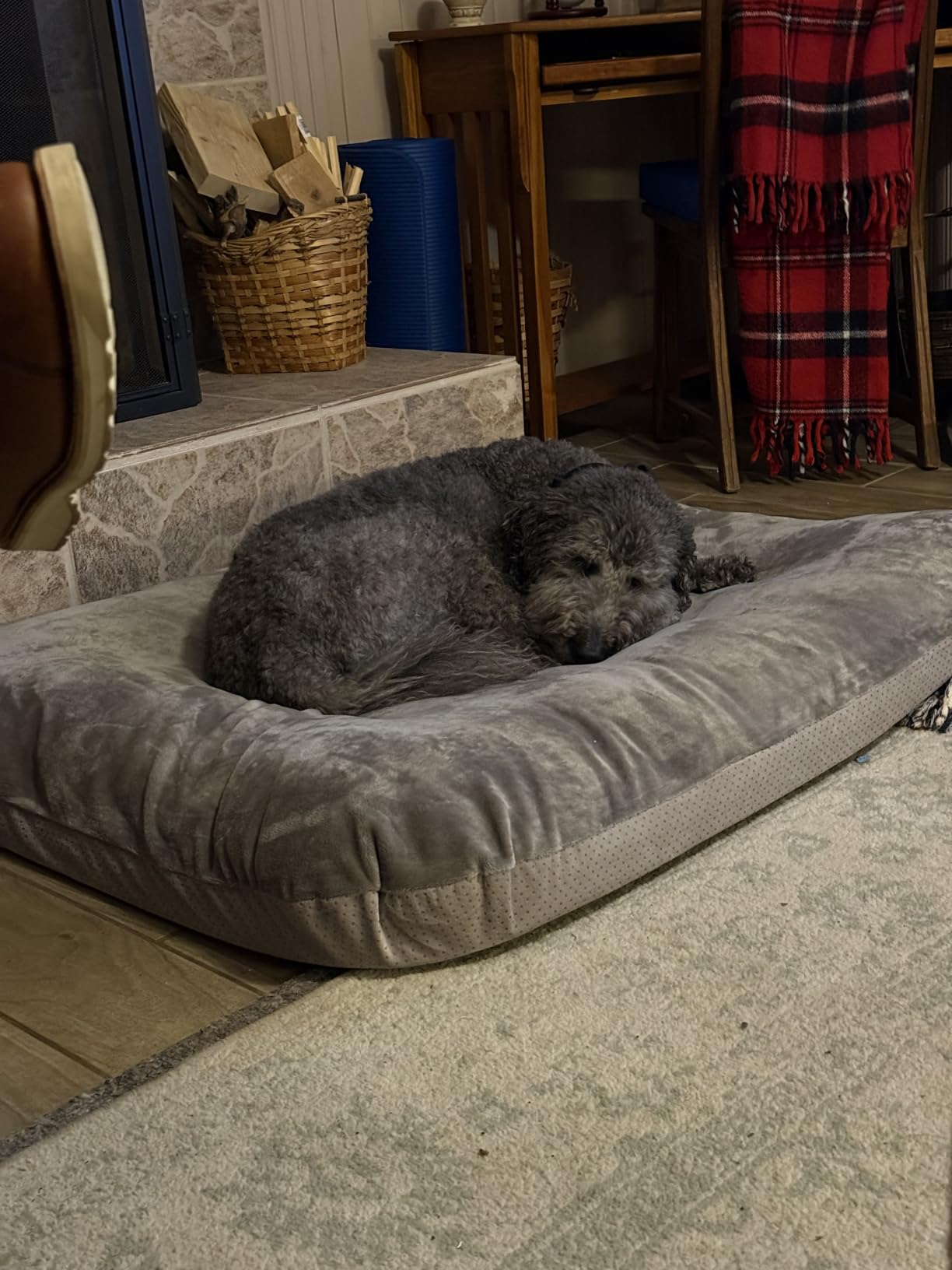 Magic Dog Orthopedic Extra Large Dog Bed 47 Inch, Super Soft XL Pet Bed customer photo 2