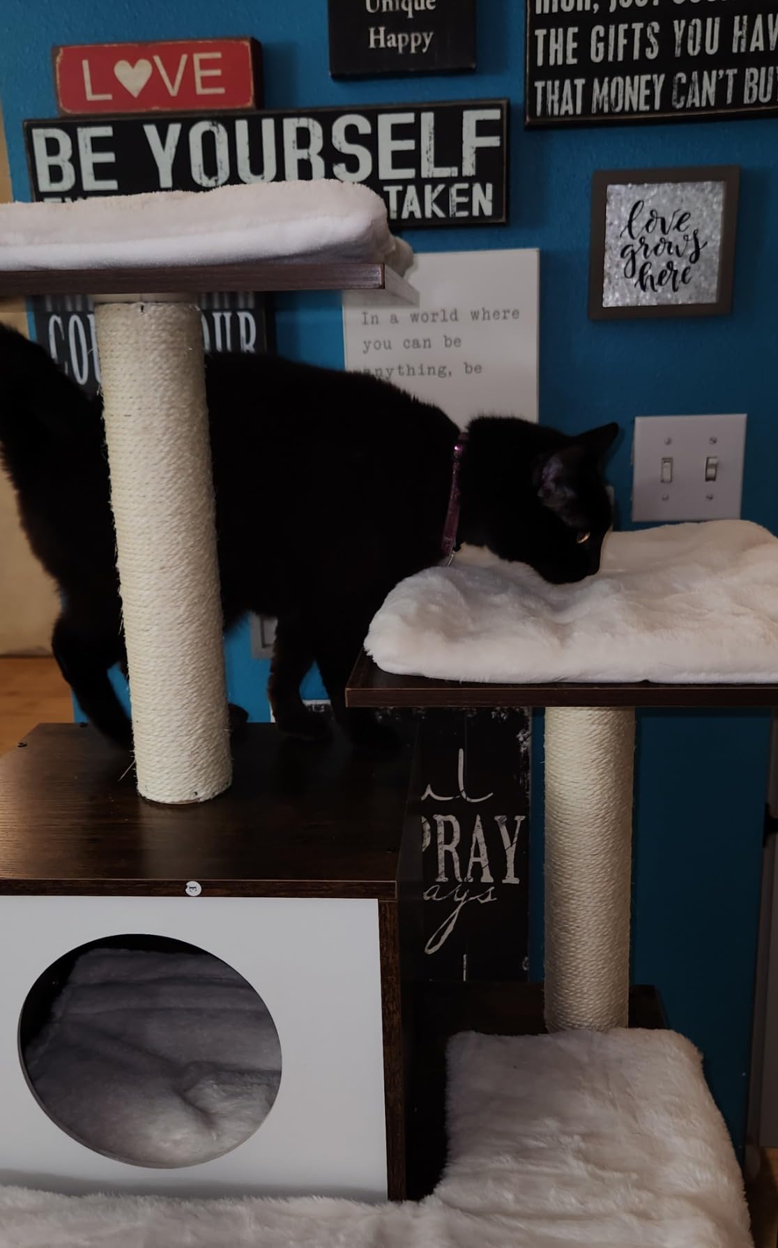 Feandrea Cat Tree, 56.3-Inch Contemporary Cat Tower, Multi-Level Condo customer photo 1