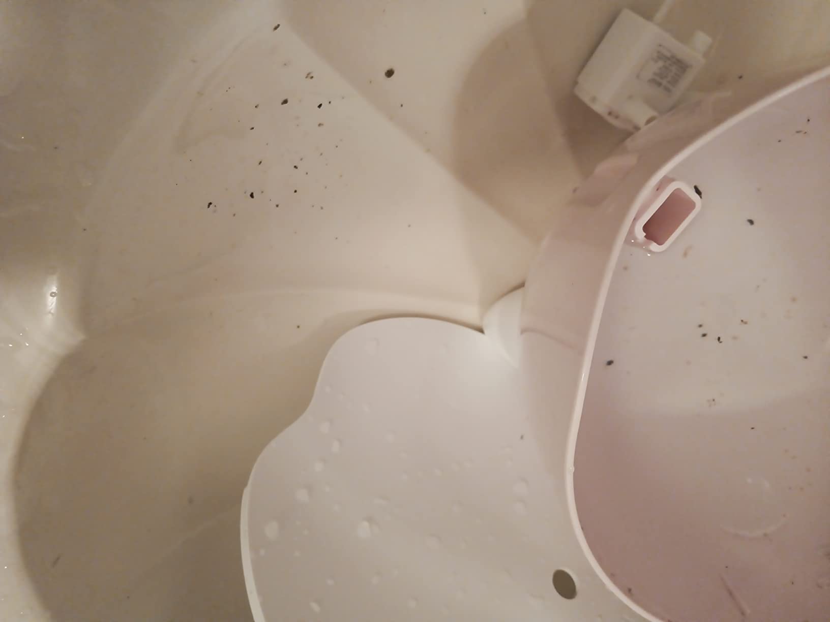 Catit PIXI Drinking Fountain, Stainless Steel customer photo 1