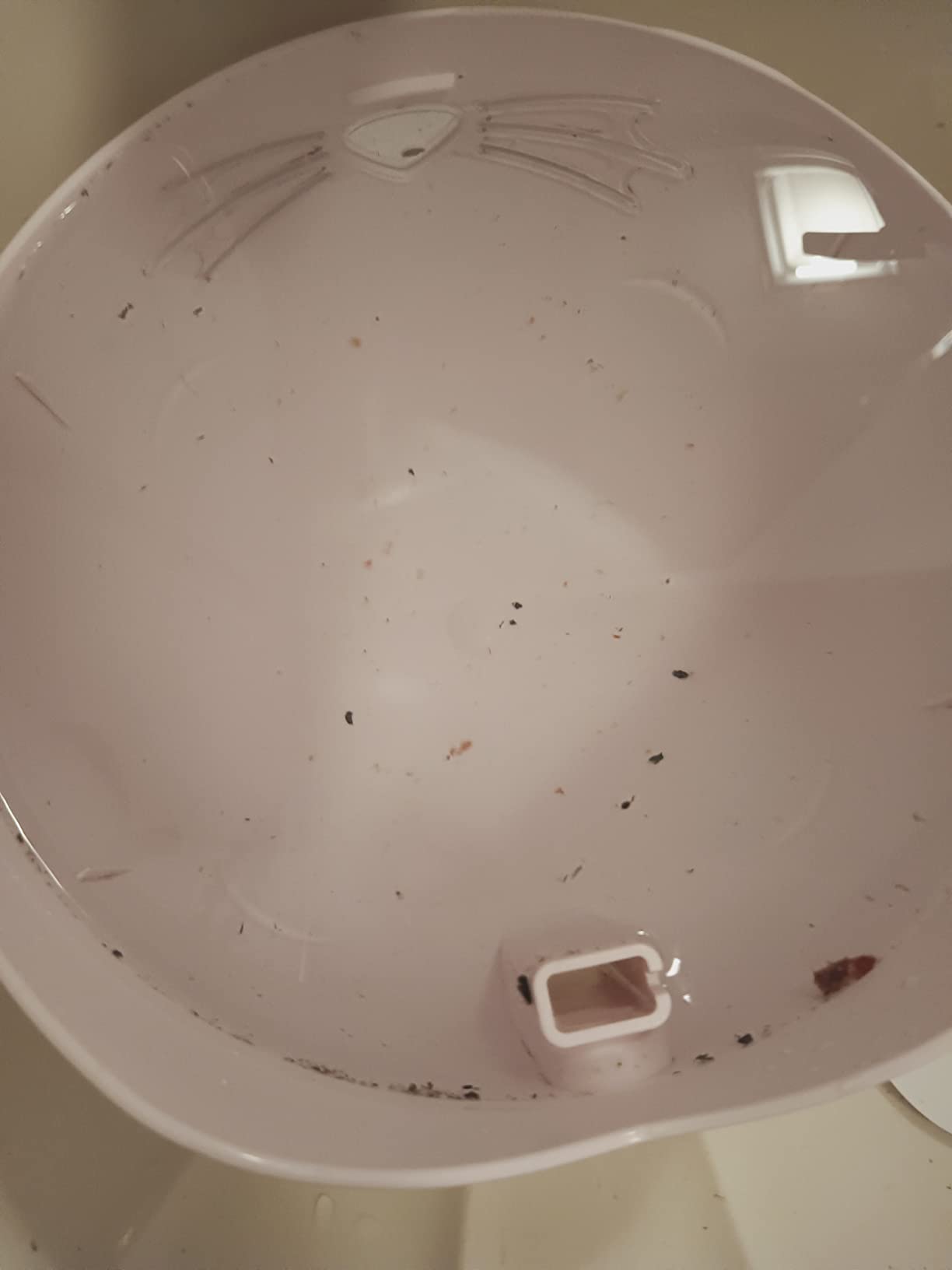 Catit PIXI Drinking Fountain, Stainless Steel customer photo 2