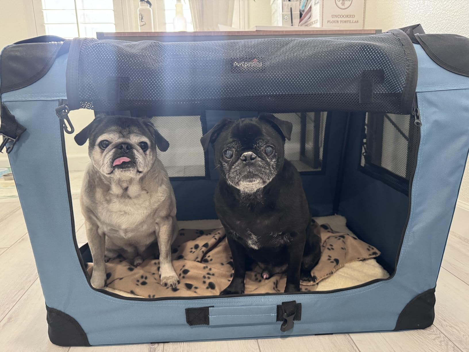 Petprsco Portable Collapsible Dog Crate, 24