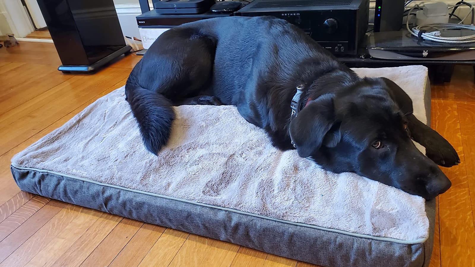 WATANIYA PET XL Cooling Dog Beds for Large Dogs, 41-Inch Dog Crate Bed customer photo 2