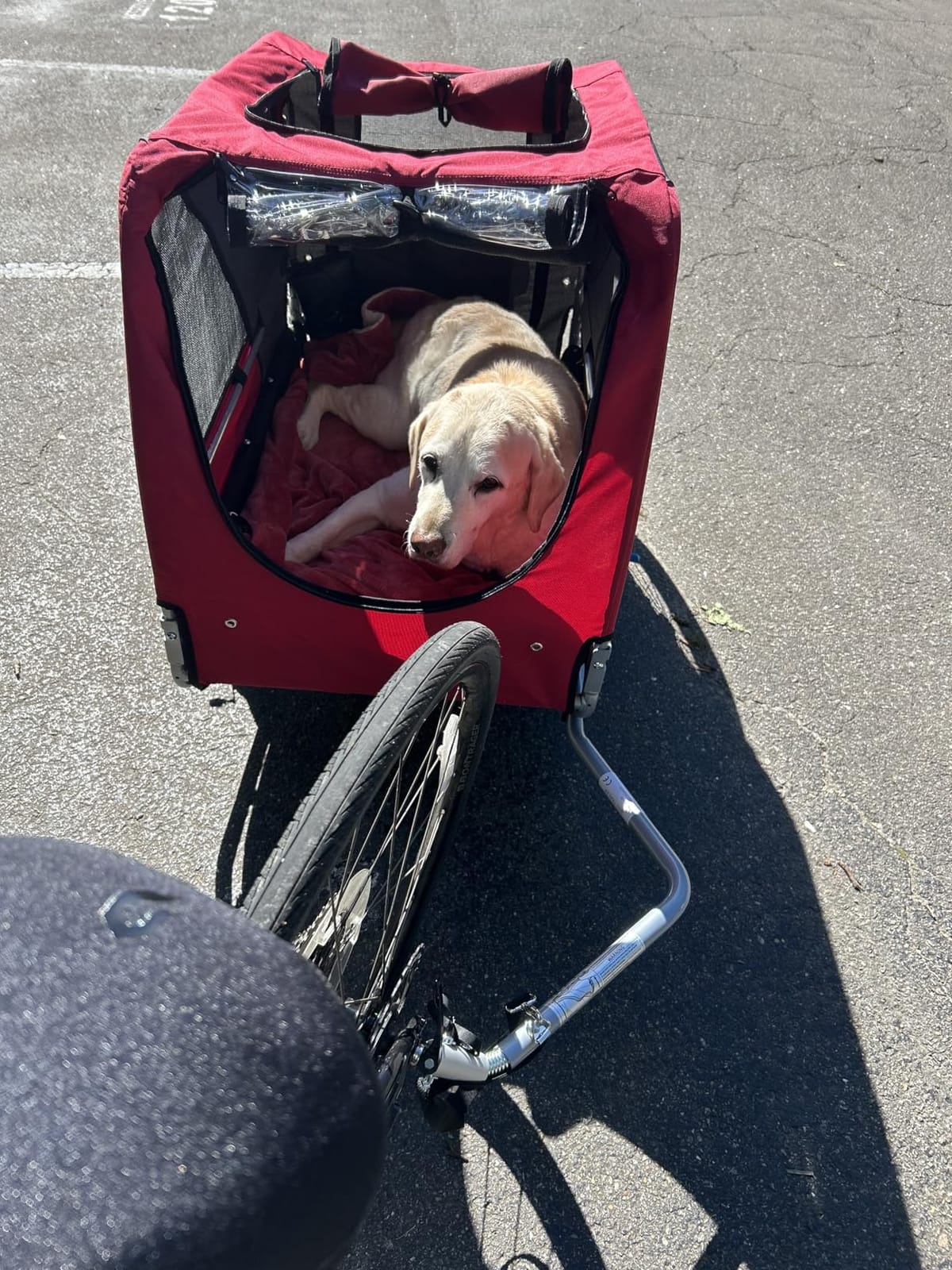 DOGGYHUT® Premium X Large Pet Bike Trailer & Stroller Up to 100 lbs (Blue) customer photo 2