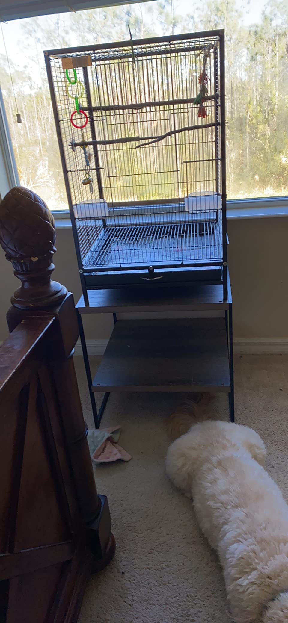 VIVOHOME Wrought Iron Bird Cage with Rolling Stand, 30 Inch Height customer photo 1