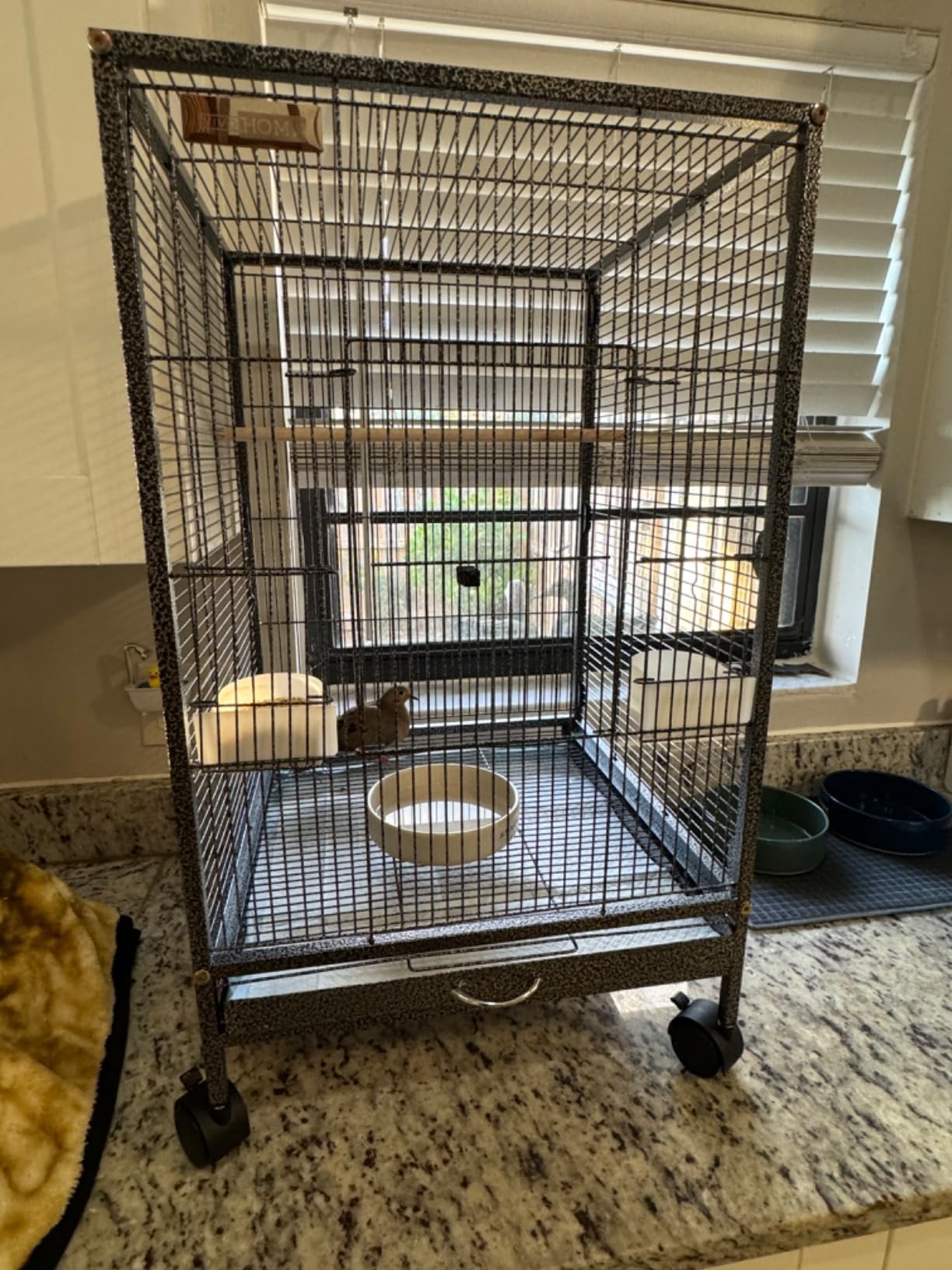 VIVOHOME Wrought Iron Bird Cage with Rolling Stand, 30 Inch Height customer photo 2