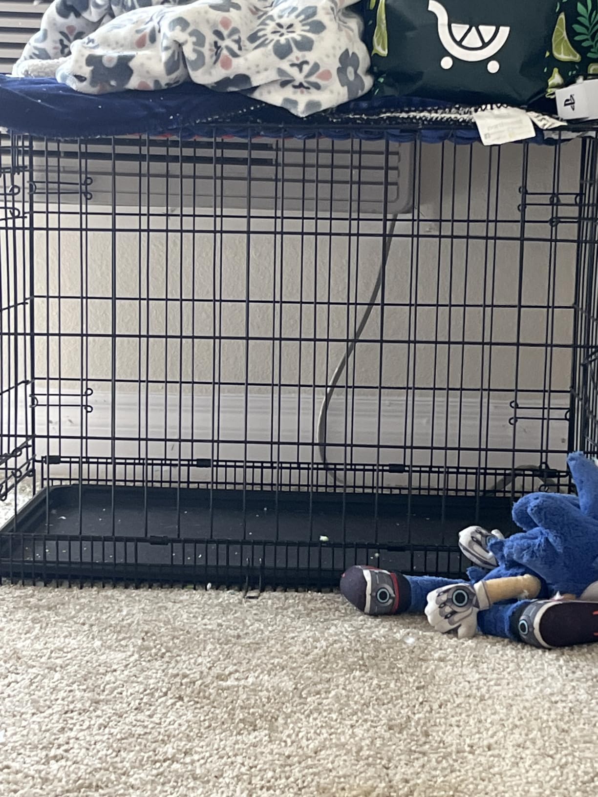 Amazon Basics Durable, Foldable Metal Wire Dog Crate with Removable Tray, Single Door, Divider Panel, 42 x 28 x 30 in, Black customer photo 1
