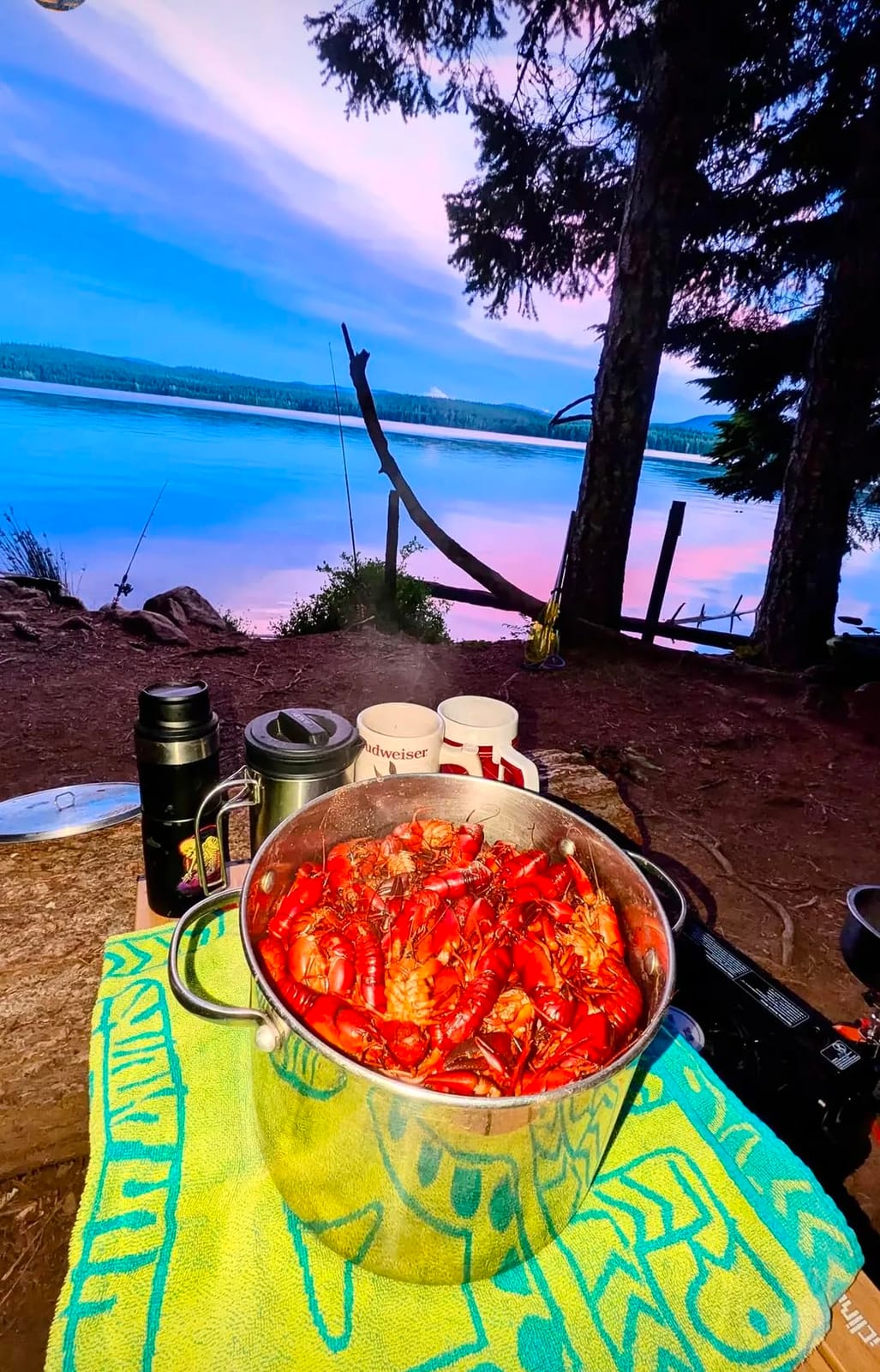 Coleman Classic 1-Burner Butane Stove, Portable Camping Cooktop with Carry Case & InstaStart Ignition, Adjustable Burner with 7650 BTUs of Power for Camping, Grilling, Tailgating, & More customer photo 1