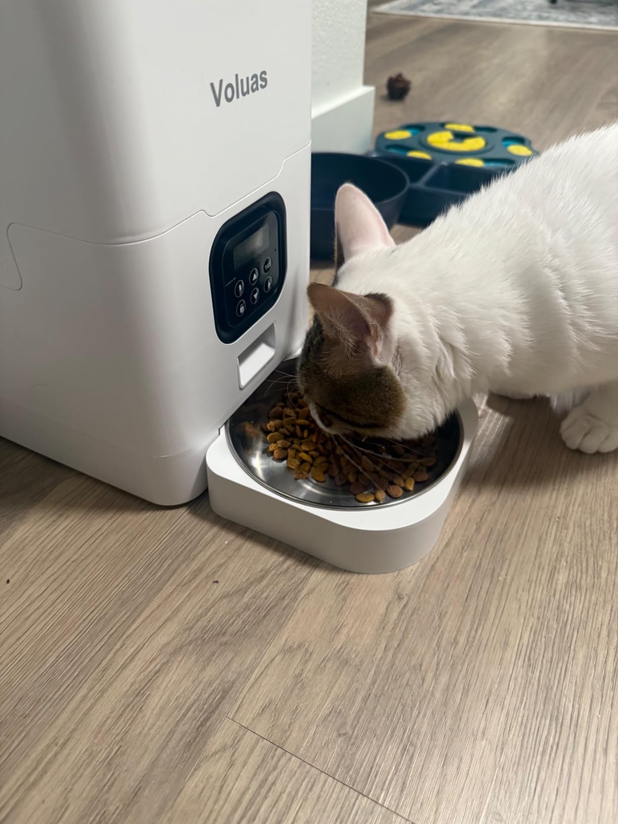 VOLUAS Automatic Cat Feeder, 4L Timed Dry Food Dispenser for Cats & Dogs customer photo 1