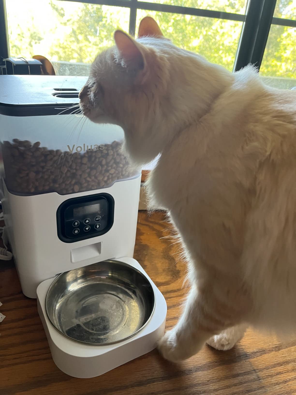 VOLUAS Automatic Cat Feeder, 4L Timed Dry Food Dispenser for Cats & Dogs customer photo 2
