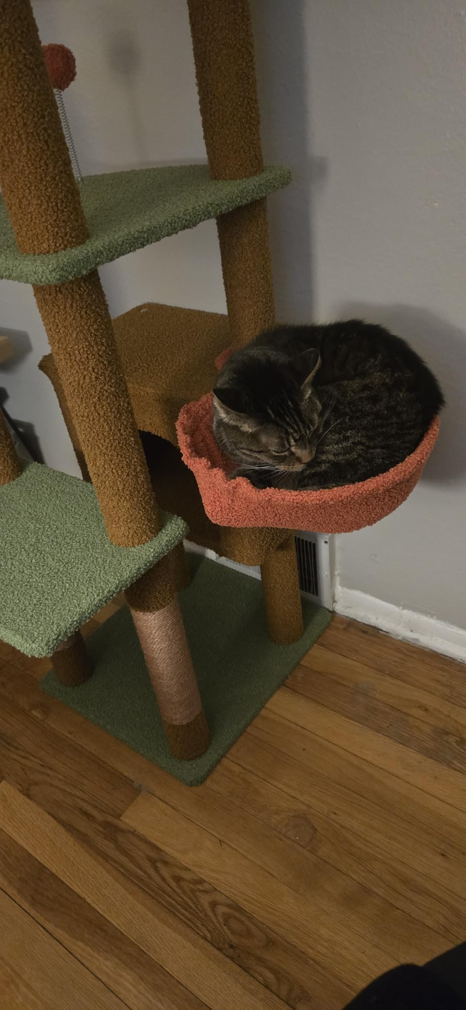 PETEPELA 5-Tier Floor to Ceiling Cat Tree, 95-107In Tall Cat Tower Beige customer photo 1