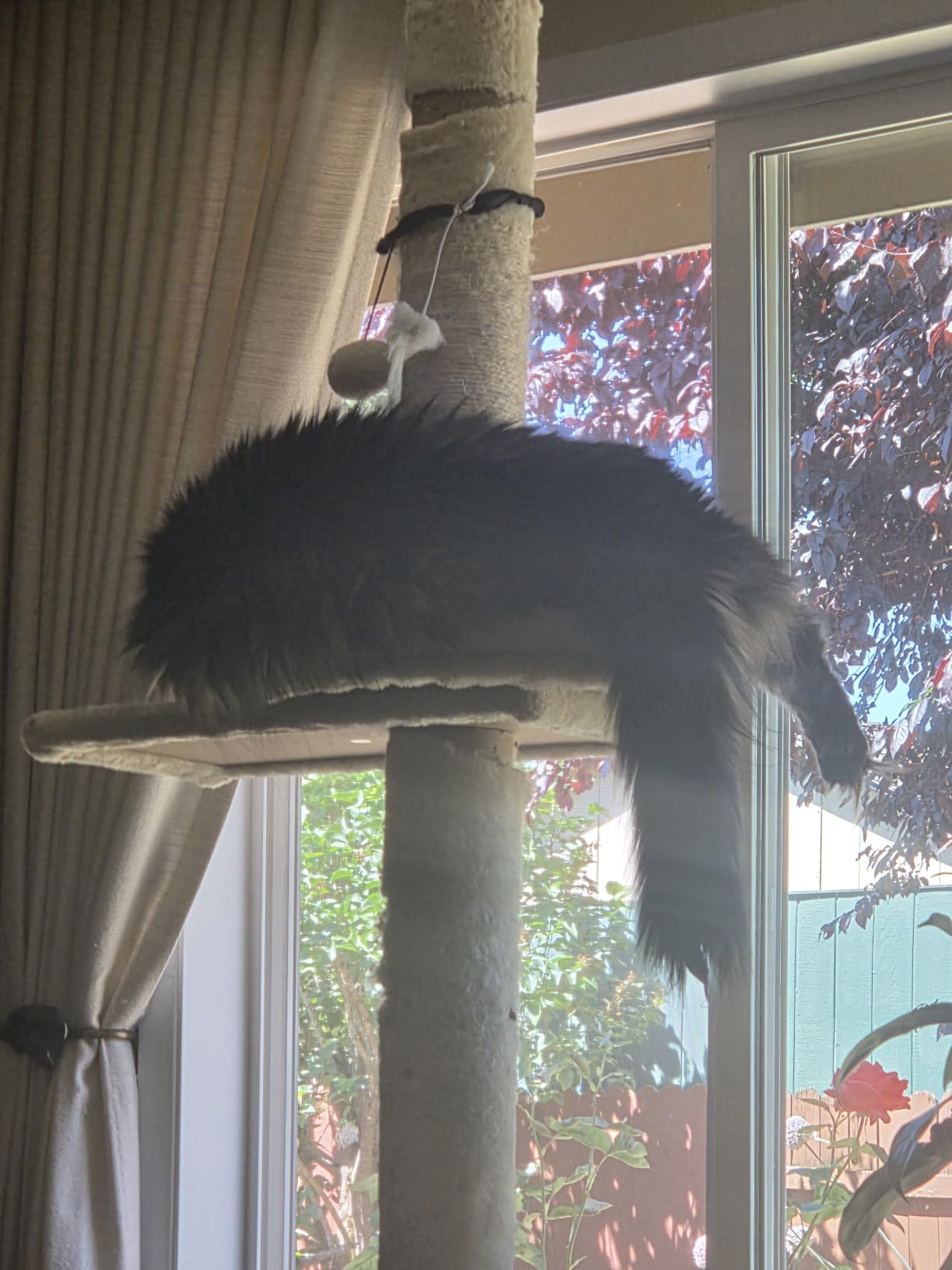 PETEPELA 5-Tier Floor to Ceiling Cat Tree, 95-107In Tall Cat Tower Beige customer photo 2