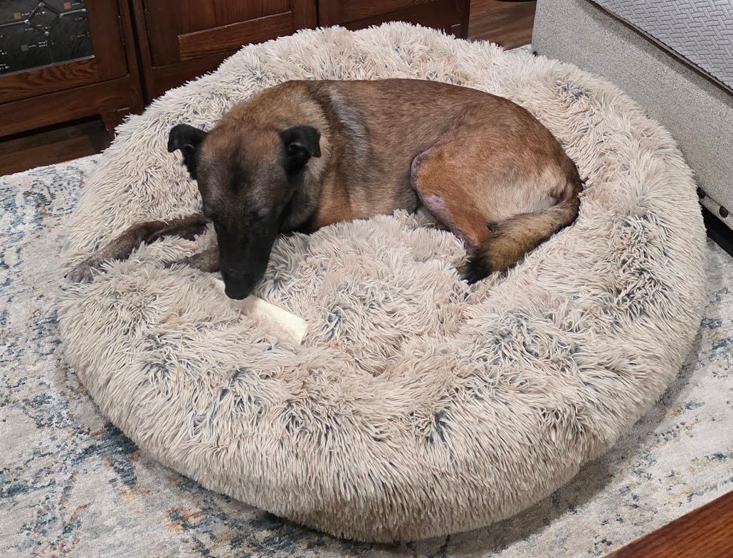 SAVFOX 30 inches Calming Donut Dog Bed - 3X Durable Plush Faux Fur, Machine Washable & Non-Slip, Fits up to 45 lbs, Dark Grey customer photo 1