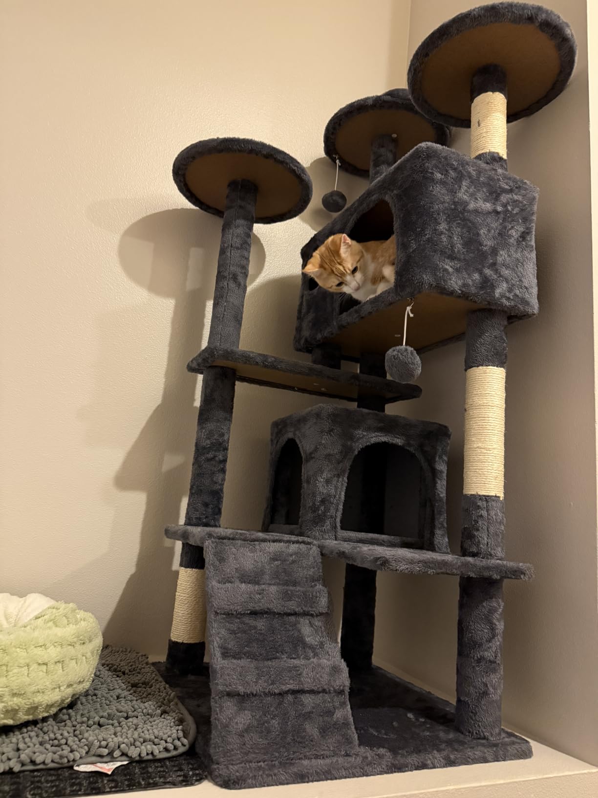 Yaheetech 70in Multi-Level Sturdy Cat Tree, Condo, Sisal Scratching Posts customer photo 1