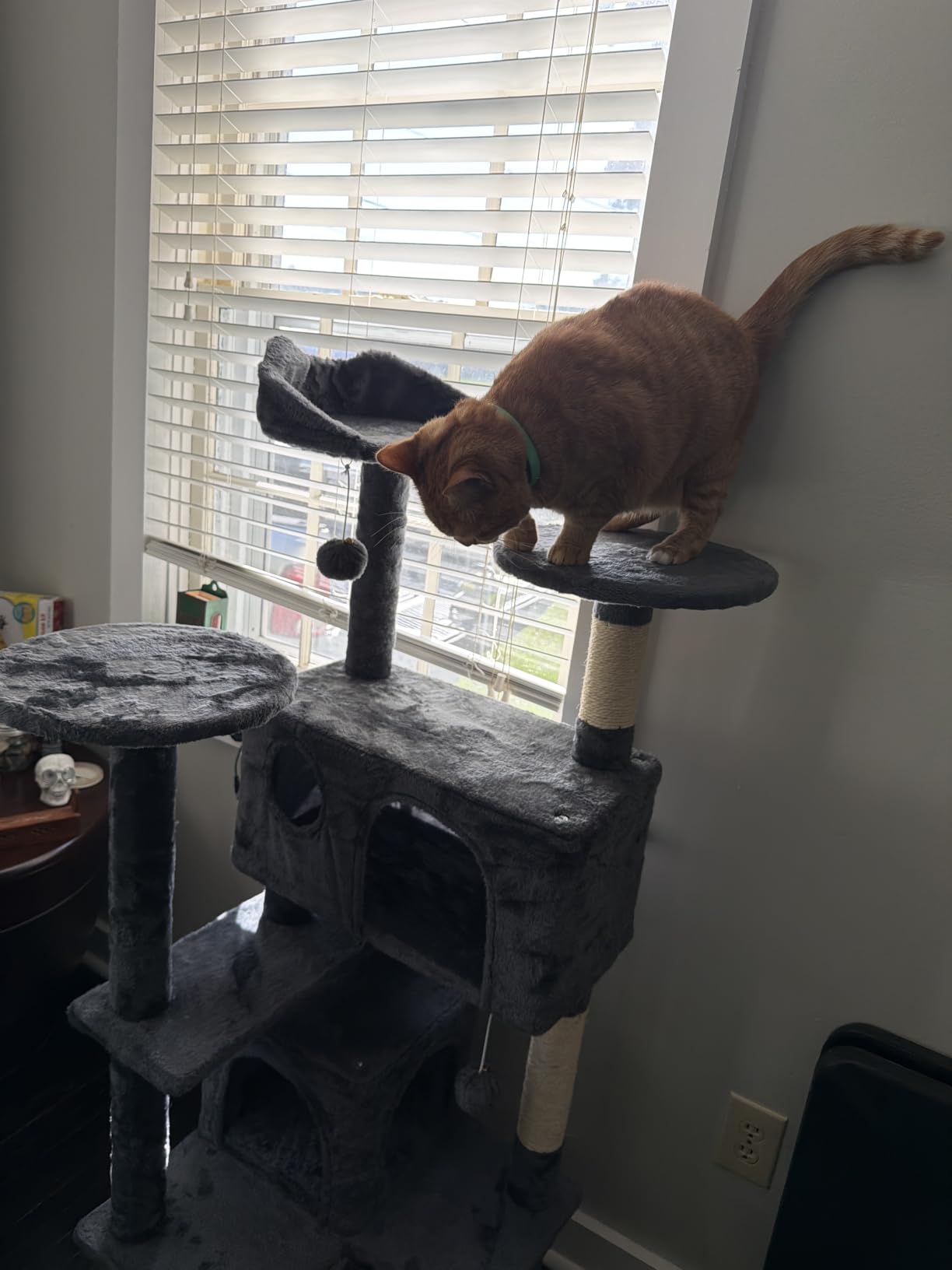 Yaheetech 70in Multi-Level Sturdy Cat Tree, Condo, Sisal Scratching Posts customer photo 2