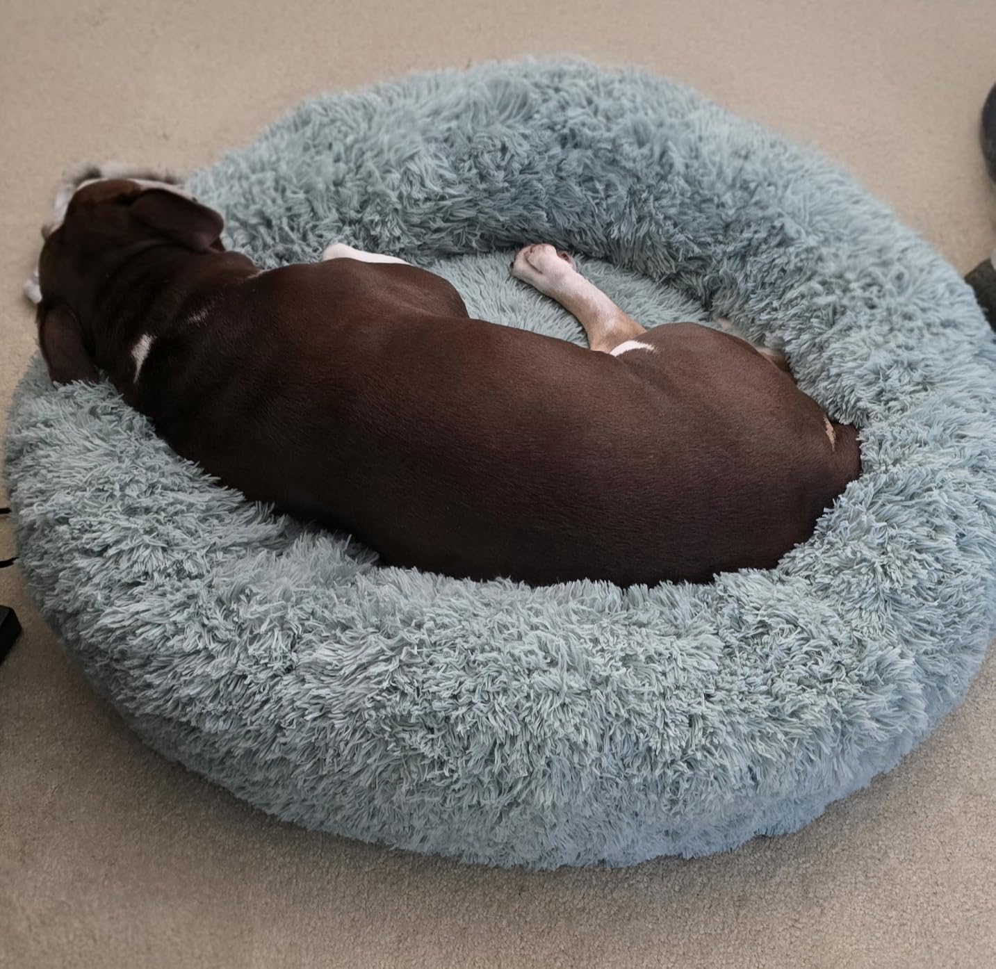 Bedsure Calming XL Dog Bed Donut Washable Extra Large Pet Bed,45ins Camel customer photo 1