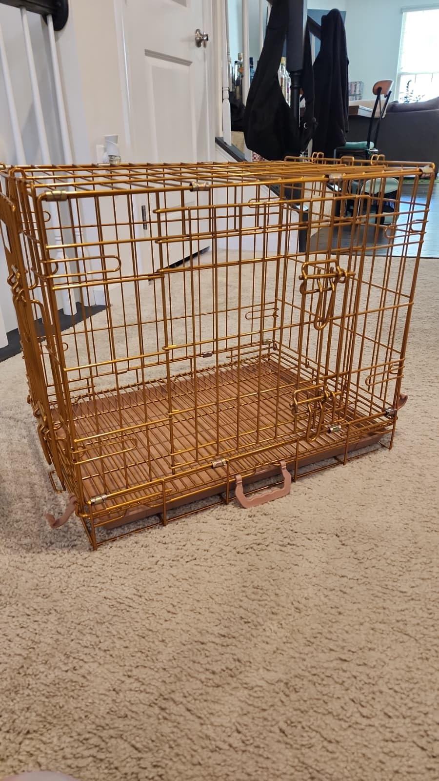 Homey Pet 24 Inch Small Dog Crate for Puppy, Copper Gold Wire Cage Kennel customer photo 1