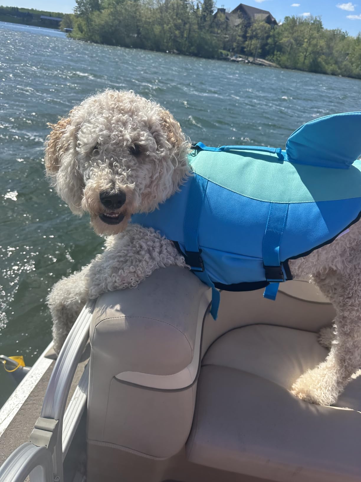 EMUST Dog Life Jacket, Ripstop Dog Lifesaver Vests with Rescue Handle for Small Medium and Large Dogs, Pet Safety Swimsuit Preserver for Swimming Pool Beach Boating (XS,Pool Blue) customer photo 1